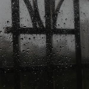 а∨天堂在线无码中文18禁
